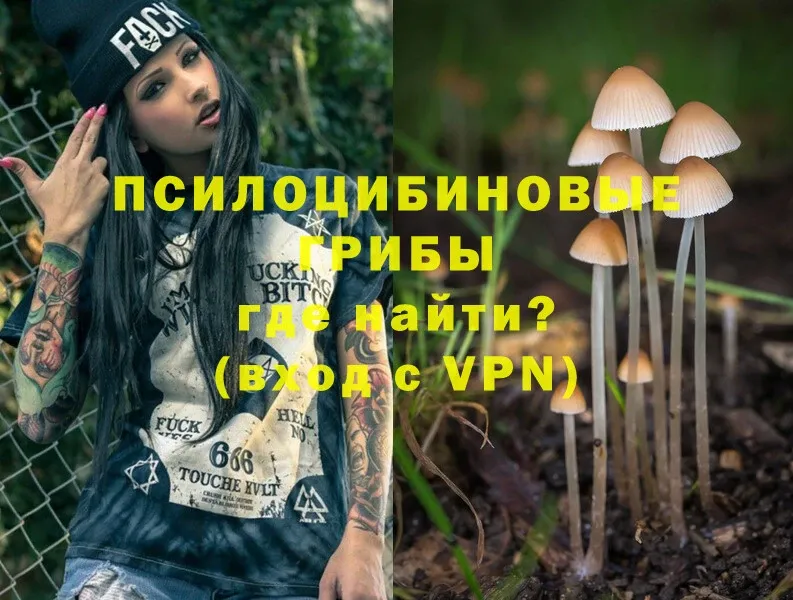 Псилоцибиновые грибы Magic Shrooms  Фёдоровский 